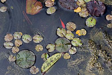 《粘粘世界2》Epic页面开放 5月23日发售